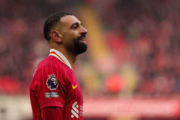 稳定和成熟 稳定和成熟